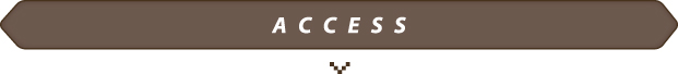 ACCESS