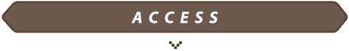 ACCESS