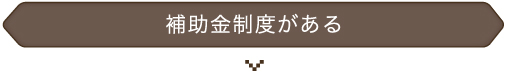 補助金制度がある