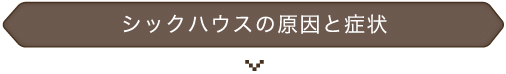 シックハウスの原因と症状