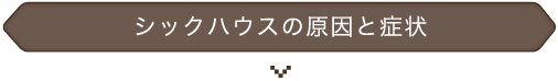 シックハウスの原因と症状